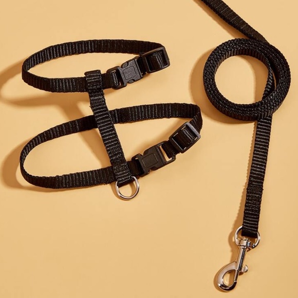 Black Pet Harness Leash - Picture 2 of 5